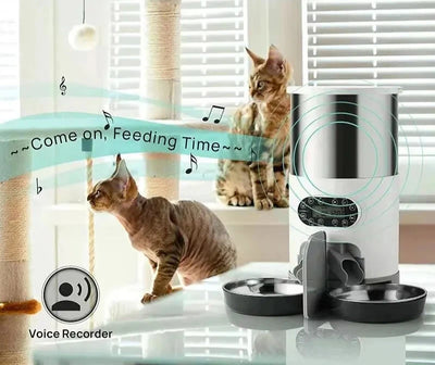 Smart APP Pet Feeder